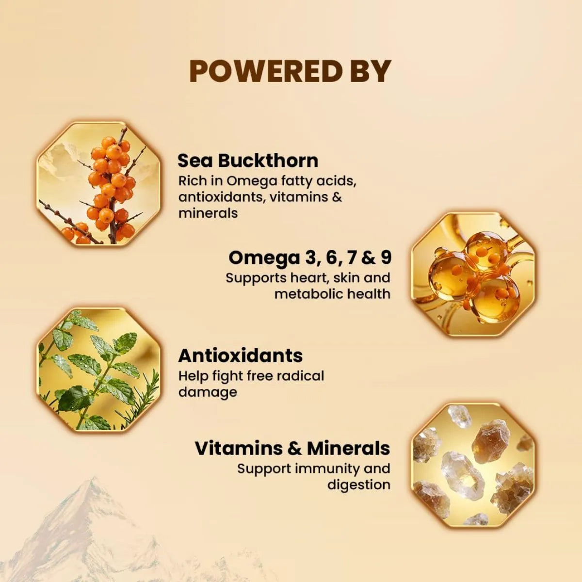 Pure Sea Buckthorn Juice - Organic Super Antioxidant with Omega 3, 6, 7 & 9 - Fssai Approved